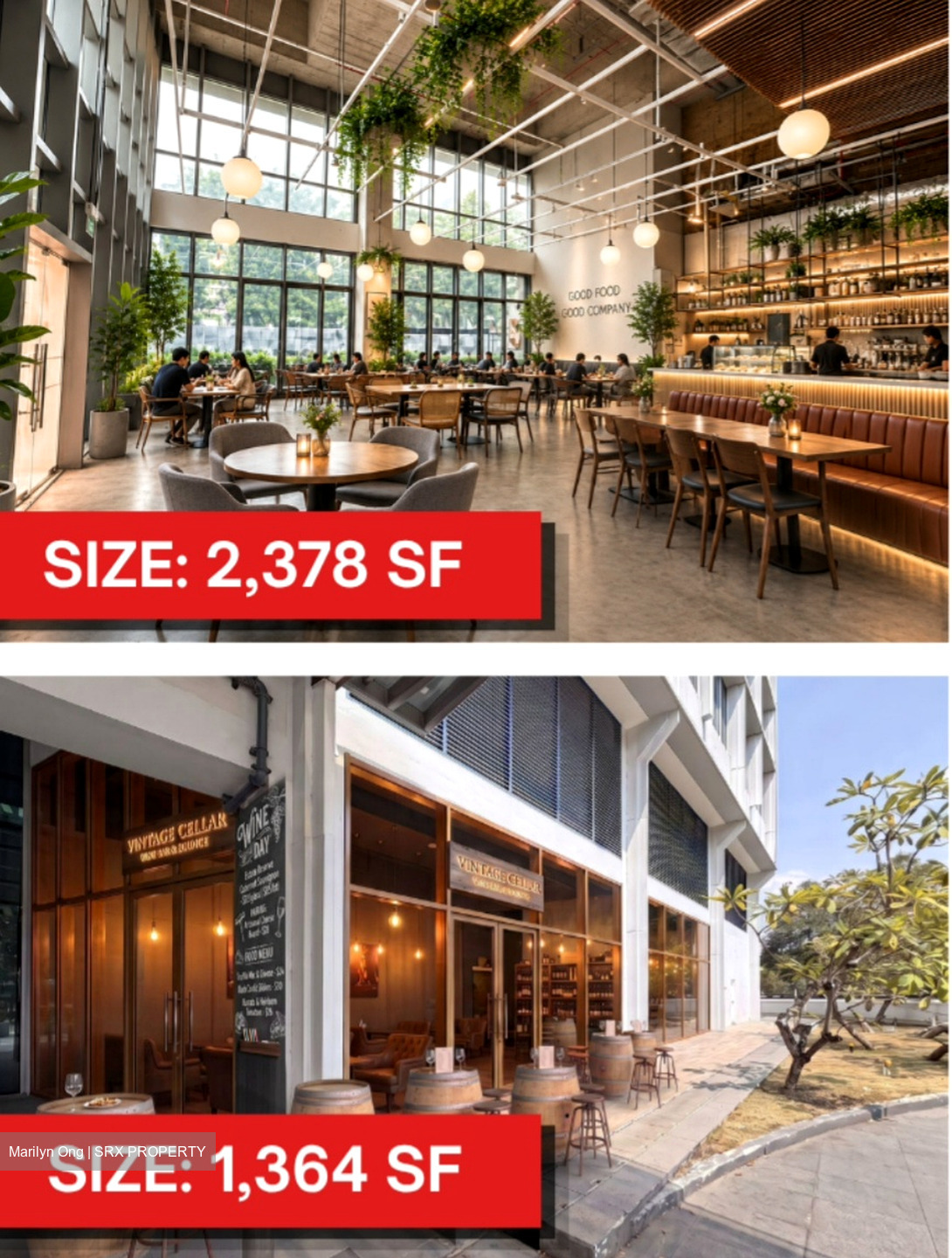 ESR Bizpark @ Changi (D16), Retail #637305491